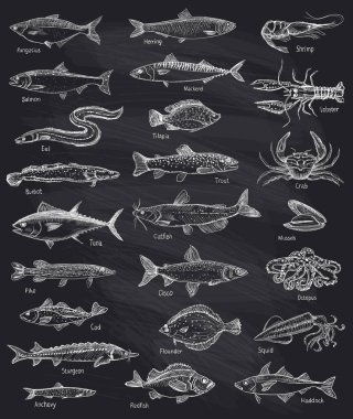 Balık ve deniz ürünleri mega set, elle çizilmiş illüstrasyon kara tahta zemin karşı