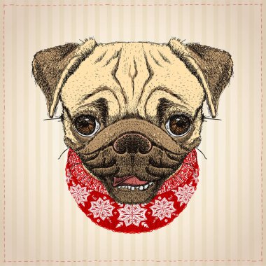 Pug köpek Noel kartı, şirin pug köpek Noel kırmızı kazağı giymiş ile çizilen illüstrasyon ver.
