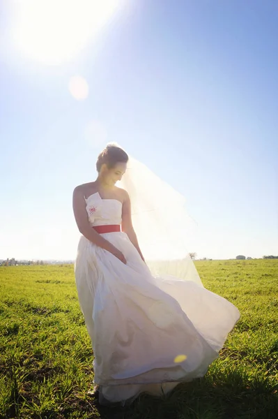 Mooie bruid lopen op veld met vlieger — Stockfoto