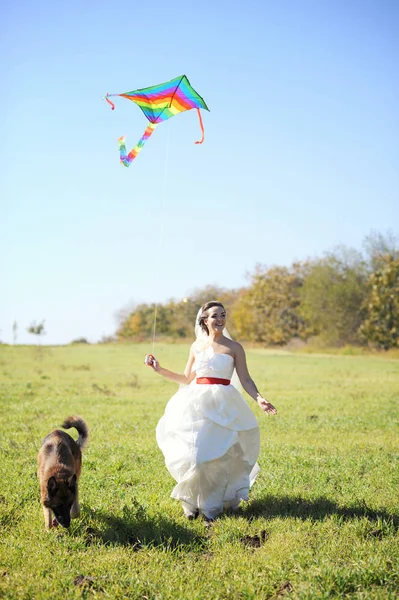 Hübsche Braut spaziert mit Drachen und Hund auf Feld — Stockfoto