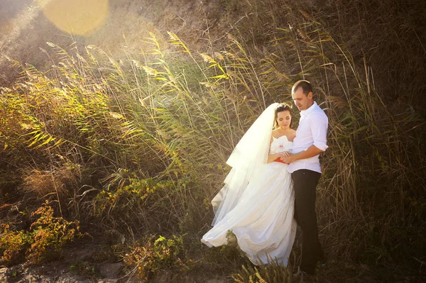 Lovely newlywed at nature mountain landscape — Stock Photo, Image