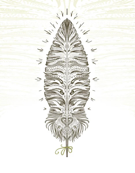 Feather ornamental symbol — Stock Vector