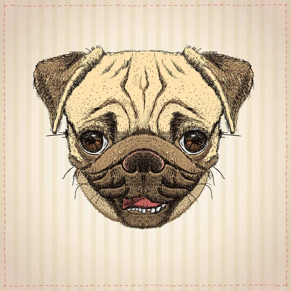 Chien Pug portrait graphique — Image vectorielle