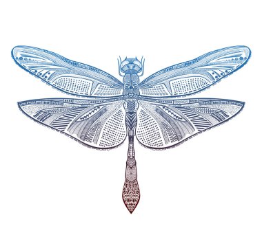 Sanat yusufçuk vektör illüstrasyon