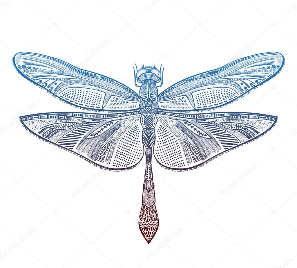 Art dragonfly vector illustration