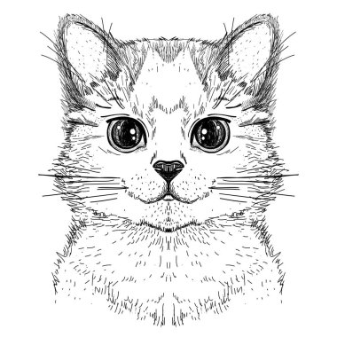 Sevimli kedi kedi, bir kedi yüz el çizilmiş grafik kroki illüstrasyon