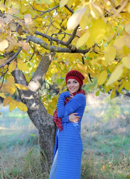 Young woman outdoor portrait, dressed in beret and blue cardigan — Stock Photo, Image