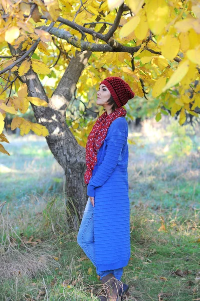Retrato al aire libre de mujer joven, vestido con boina y cárdigan azul — Foto de Stock