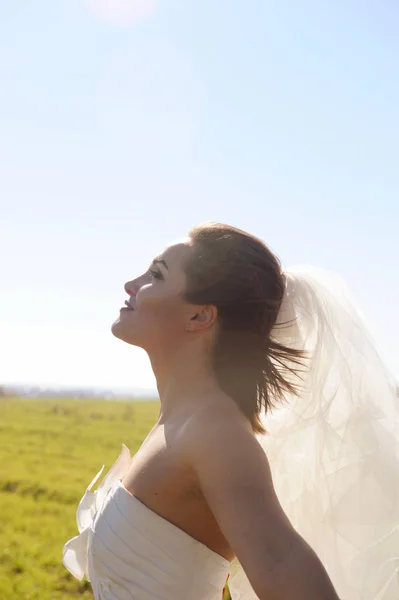 Pretty young bride profile portrait on a field, sunny backlite — Stock Photo, Image