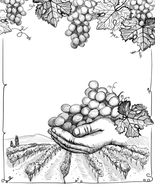 農村風景 ブドウ畑と手のブドウの束を保持し スペースグラフィックポスターをコピーし 手描き黒と白のベクトルイラスト ヴィンテージスタイル — ストックベクタ