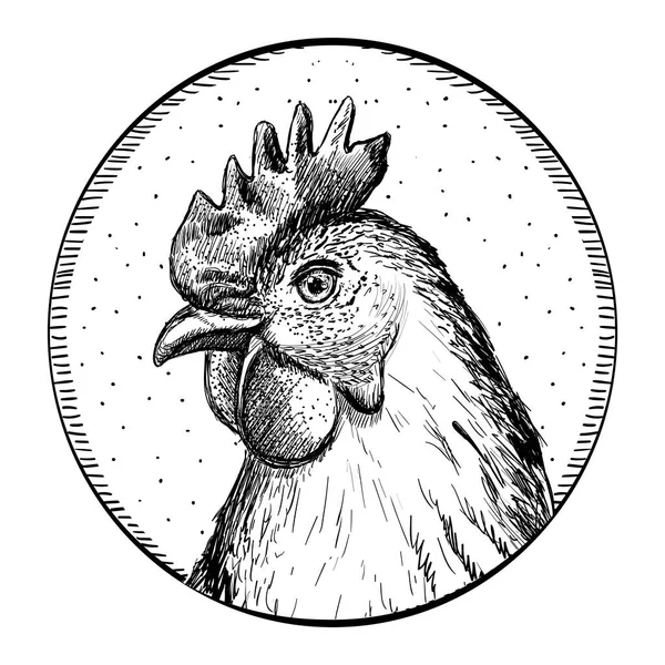Hennen Logo Schwarz Weißes Grafikdesign Handelssymbol Mit Vogelkopf Kreis Vektorskizze — Stockvektor