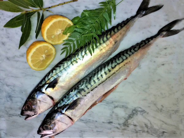 Peixe fresco com limão e especiarias em mármore — Fotografia de Stock