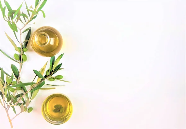 zeytin yağı ile beyaz zemin üzerine yeşil zeytin dalı