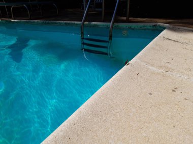 Güzel pembe yusufçuk yüzme p kenarına kadar kapatın