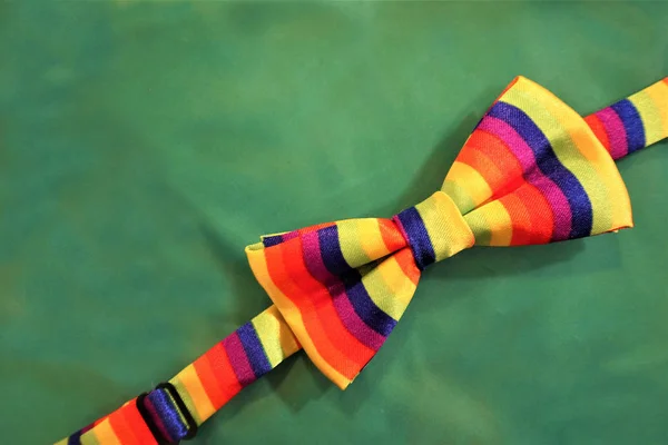 lgbt pride bow on a green background