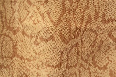 Yılan arka plan cilt. Yakın çekim.