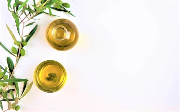 zeytin yağı ile beyaz zemin üzerine yeşil zeytin dalı 