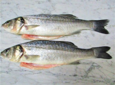 bir mermer üzerinde taze balık