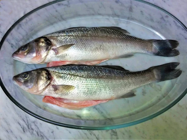 Peixe fresco em um mármore — Fotografia de Stock