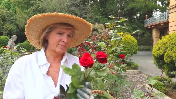 Senior Kvinna Med Bukett Rosesmiddle Åldrig Kvinna Med Bukett Rosor — Stockvideo