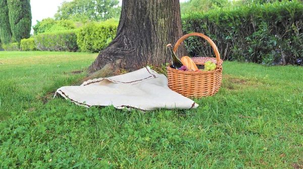 Cesta de piquenique de vime com uvas brancas e pretas e vinho no gre — Fotografia de Stock