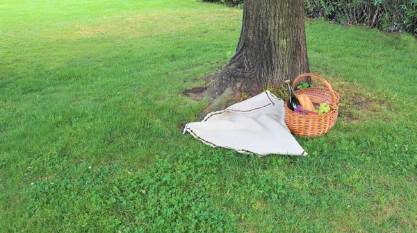 Piknik Świeżym Powietrzu Słoneczny Kosz Piknikowy Butelką Czerwonego Wina Bagietki — Zdjęcie stockowe