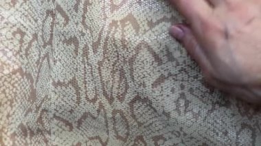 Doku hakiki deri yakın, deri piton altında kabartmalı, arka plan. Kadın el vuruşları güzel bir Yılan cilt, lüks 
