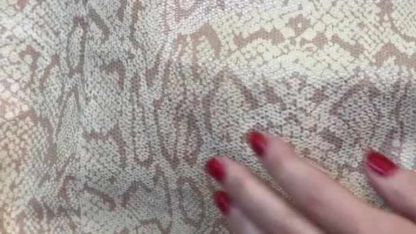 Texture Genuine Leather Close Embossed Skin Python Background Female Hand — Stock Video