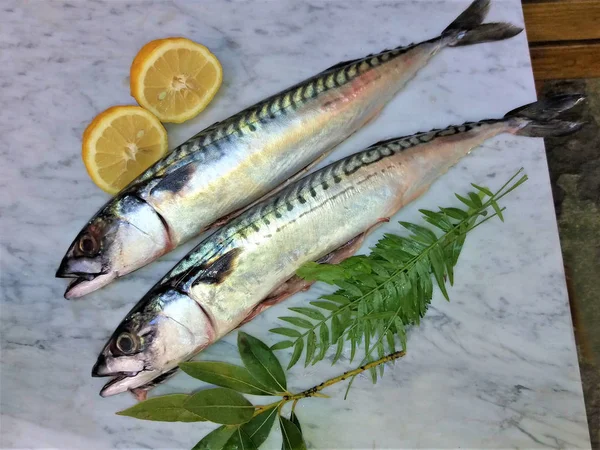 Peixe fresco com limão e especiarias em mármore — Fotografia de Stock