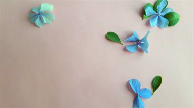 bej arka plan üzerinde küçük mavi çiçekler ve yeşil yaprakları ile desen arka plan