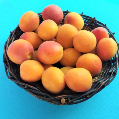 parlak mavi arka plan üzerinde kayısı