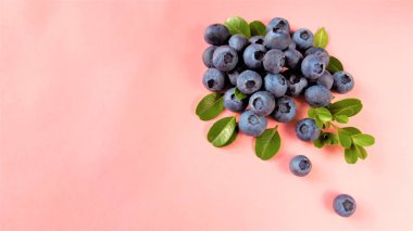 Metin için kopya alanı ile pembe arka plan izole yaprak ile taze olgun yaban mersini. Üstte görüntü. 