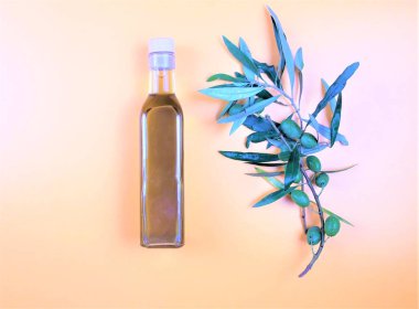 pastel arka plan üzerinde yaprakları ve yağ şişesi ile zeytin ağacı dalı