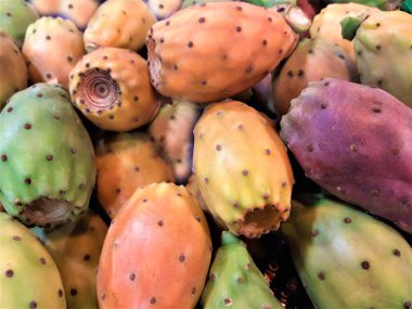 Dikenli armut sağlık gıda. İtalya. Sicilya