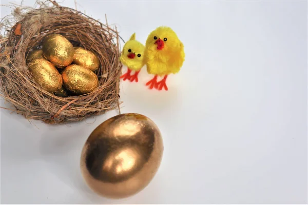 Huevos Pascua Dorados Pollos Con Espacio Copia Para Texto Sobre —  Fotos de Stock