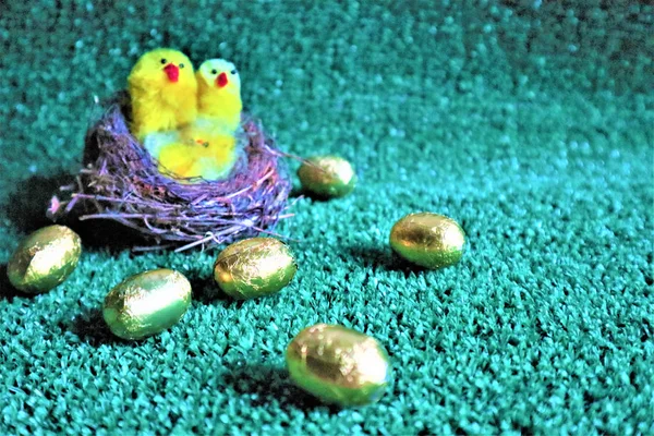 Huevos de oro en un césped artificial verde —  Fotos de Stock