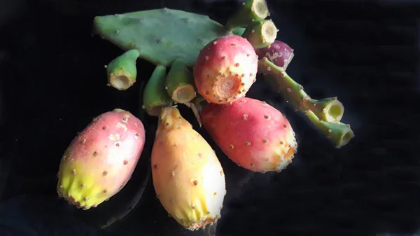 part of cactus with cacti fruit on dark background