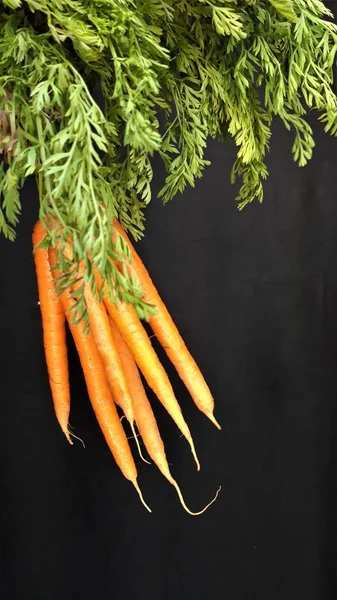 Fresh Homegrown Carrots Dark Background — Stock Photo, Image