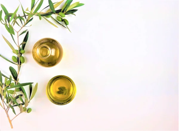 zeytin yağı ile beyaz zemin üzerine yeşil zeytin dalı 