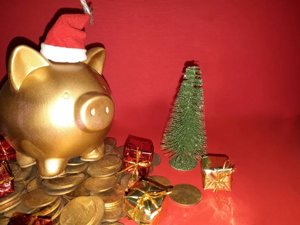 Feliz Ano Novo Chinês 2019 Com Ouro Porco Signo Zodíaco — Fotografia de Stock