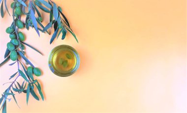 pastel arka plan üzerinde yaprak ve yağ kase ile zeytin ağacı dalı