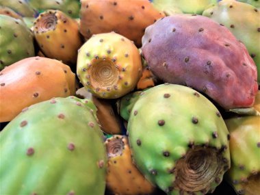 Dikenli armut sağlık gıda. İtalya. Sicilya