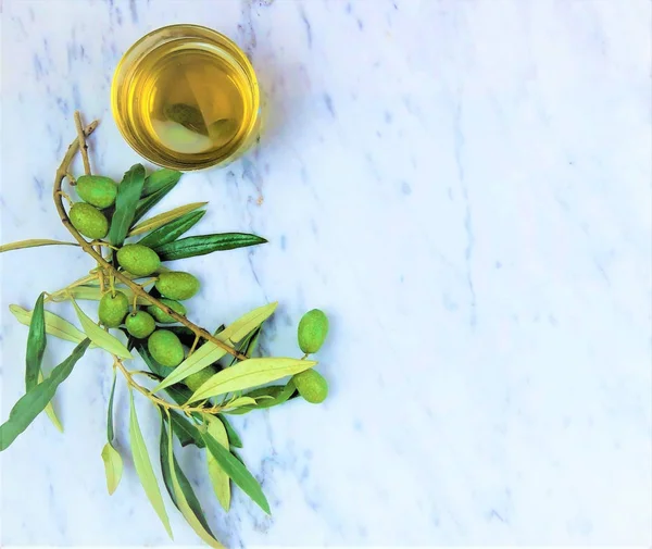 zeytin yağı ile mermer zemin üzerine yeşil zeytin dalı