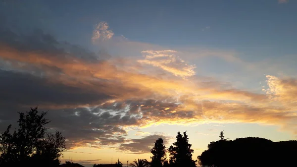 Solnedgang Skydække Med Træer Silhuetter Forgrunden - Stock-foto