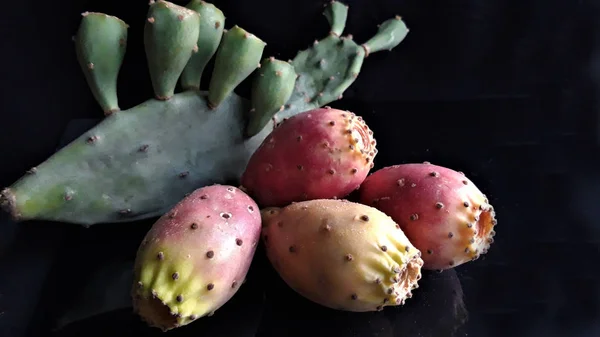 part of cactus with cacti fruit on dark background