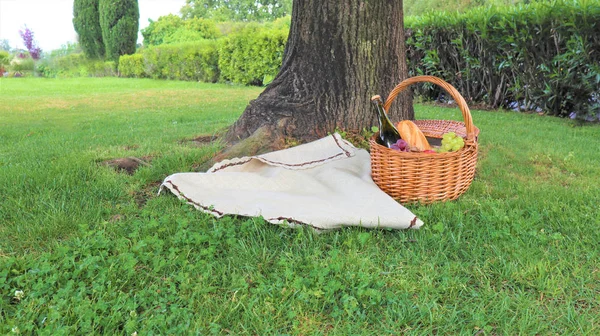 Cesta Piquenique Vime Com Uvas Brancas Pretas Vinho Grama Verde — Fotografia de Stock