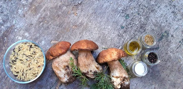 Сбор диких грибов boletus, оливковое масло, соль, перец, специи — стоковое фото