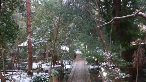 西西里岛严冬 雪与冷杉和棕榈树的背景 雪上衣 旧公园的冬季时间 — 图库视频影像