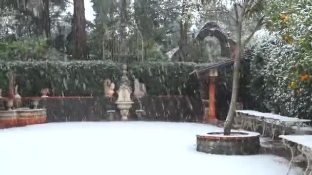Hårda Vintern Sicilien Snöfall Med Gran Och Palmträd Bakgrunden Snökavaj — Stockvideo