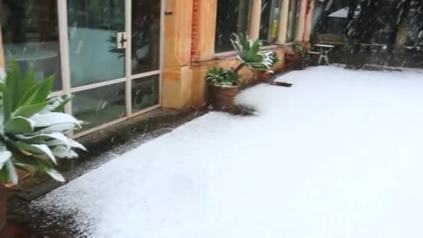 Strenge Winter Sicilië Sneeuwval Met Een Dennen Palmbomen Achtergrond Sneeuwblazer — Stockvideo